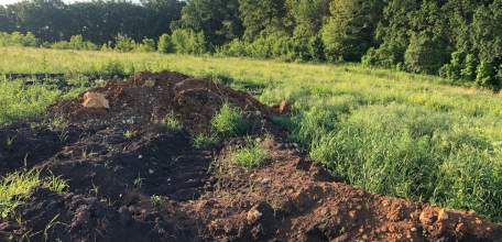 Коррупция в Липецкой области убивает заповедную природу Краснинского района!