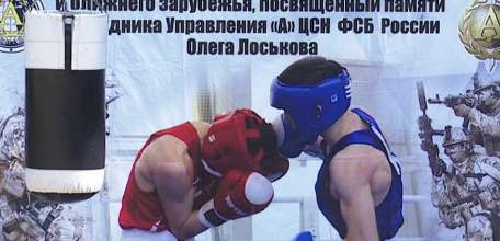 В Задонском районе стартовал открытый турнир по боксу, посвящённый памяти Олега Лоськова