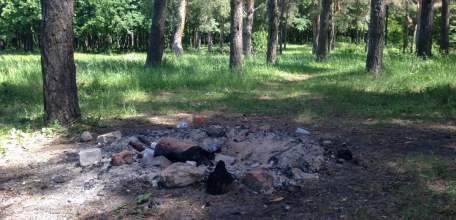 С 30 августа на территории Липецкой области ожидается высокая пожароопасность лесов - 4 класс горимости