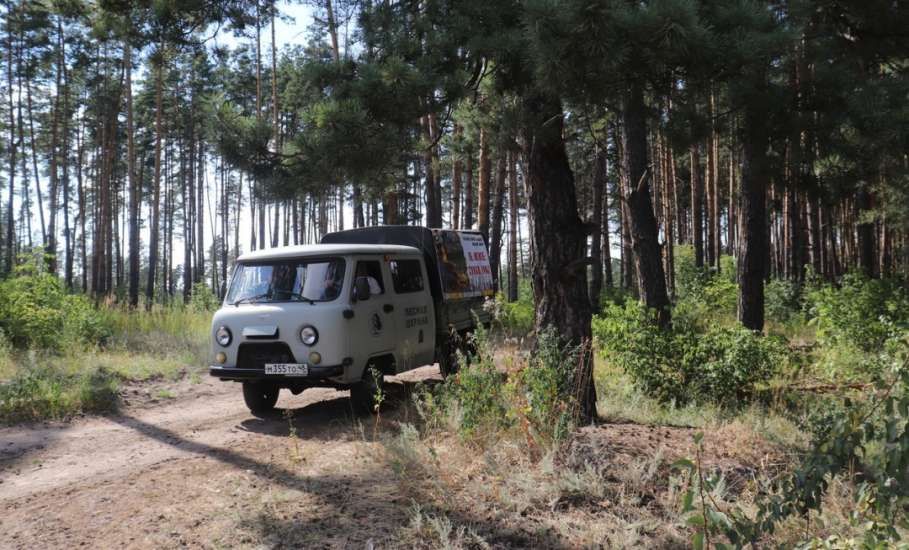 С 3 по 23 сентября в Липецкой области введено ограничение на посещение лесов