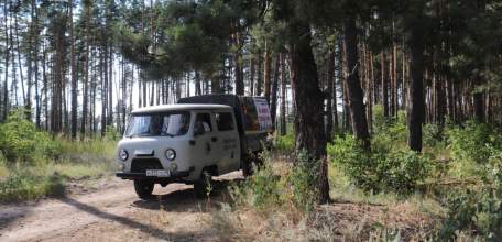 С 3 по 23 сентября в Липецкой области введено ограничение на посещение лесов