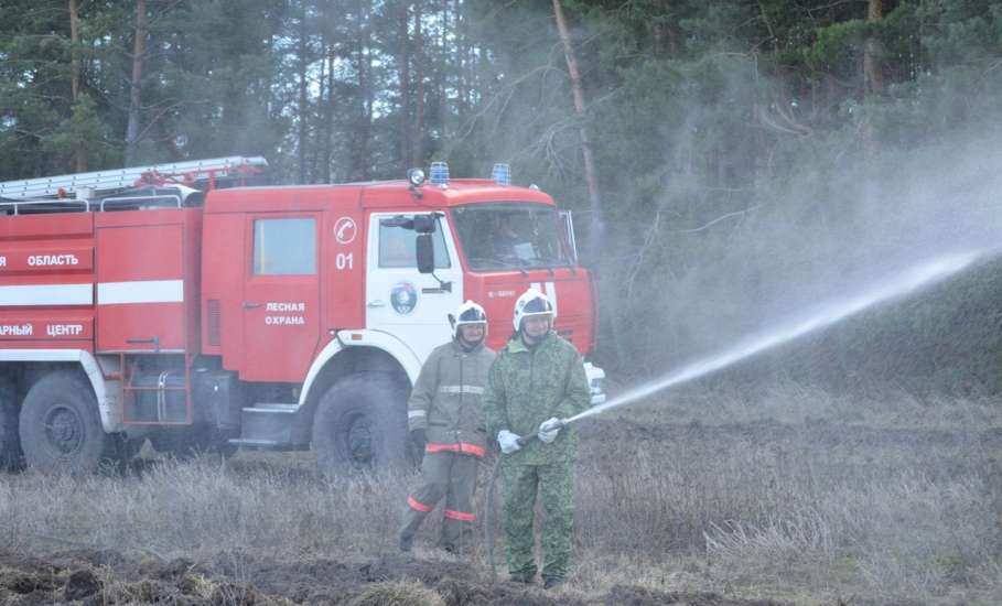 В Липецкой области вновь введён особый противопожарный режим