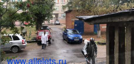 Публичное обращение к прокурору города Ельца, мэру города Ельца!