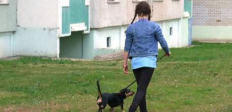 За выгул собак детьми до 14-лет будут штрафовать родителей