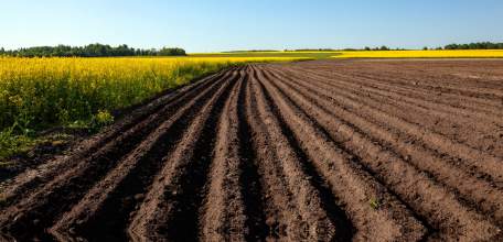 Прокуратура Елецкого района пресекла незаконную практику предоставлении в аренду земель сельскохозяйственного назначения