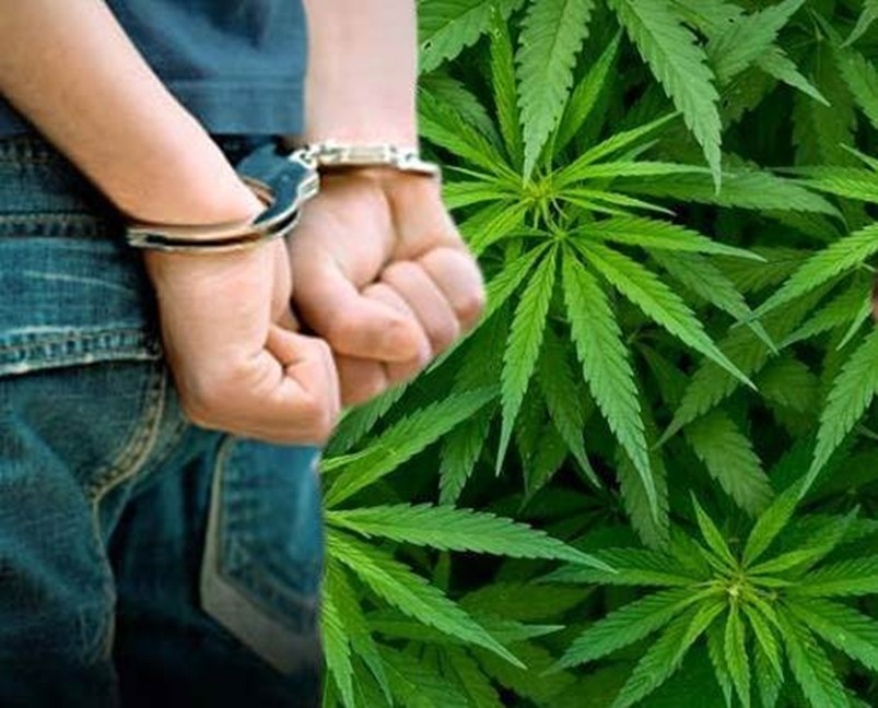 незаконное приобретение марихуаны