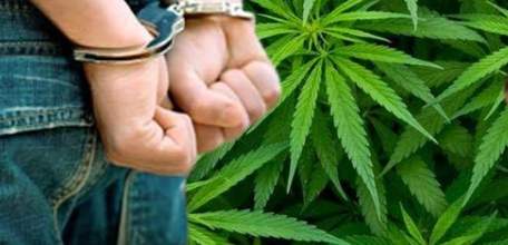 В отношении ельчанина возбуждено уголовное дело за незаконное приобретение и хранение марихуаны весом 16,8 грамм