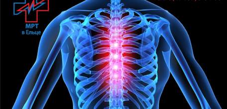 Акция в ДЦ «Импульс»: с 14 по 20 сентября МРТ грудного отдела позвоночника 2200 руб.
