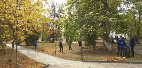 Порядок в доме: трудовые коллективы участвуют в традиционных субботниках по санитарной очистке города