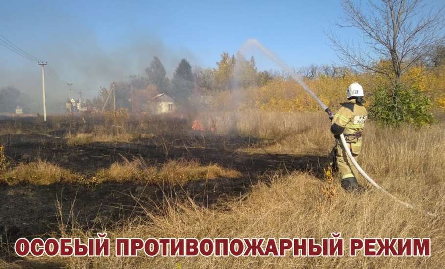 Особый противопожарный режим на территории Липецкой области продлён до 31 октября