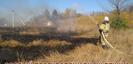 Особый противопожарный режим на территории Липецкой области продлён до 31 октября