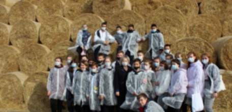 Проект «Я выбираю село» реализуется в Липецкой области