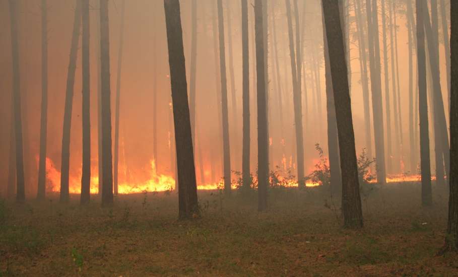 На территории Липецкой области установился высокий класс пожарной опасности