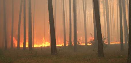 На территории Липецкой области установился высокий класс пожарной опасности