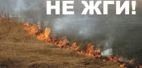 Не допускайте сжигания сухой травы и стерни!