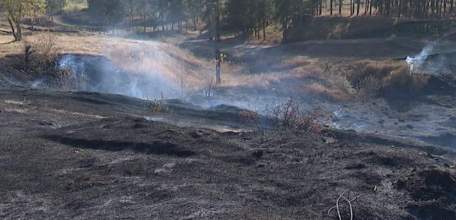 &laquo;Из искры возгорится пламя&raquo;: наглядное напоминание о запрете разведения открытого огня в пожароопасный период