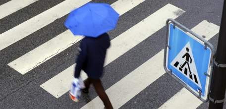 Итоги профилактического мероприятия ГИБДД "Пешеход" в Елецком районе