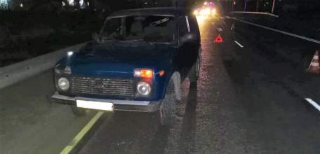 В Ельце под колесами автомобиля погиб пешеход