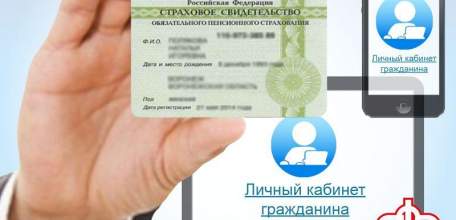 Пенсионный фонд оформляет СНИЛС на детей в проактивном режиме