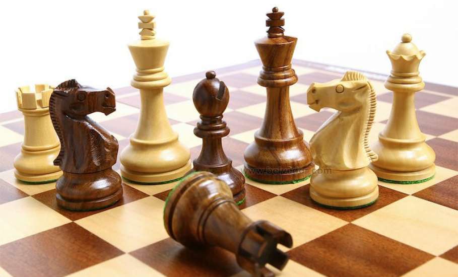 Елецкие школьники успешно выступили на областном турнире по шахматам