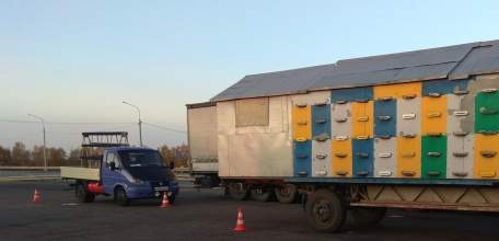 В Елецком районе пешеход попал под колеса ГАЗа