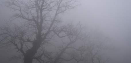 Внимание! Туман