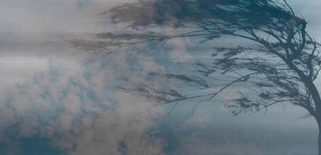 Внимание! Сильный ветер