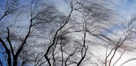 Внимание! Сильный ветер!