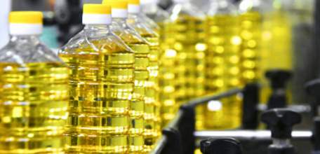 Завод по переработке масличных культур будет построен в экономической зоне «Елецпром»