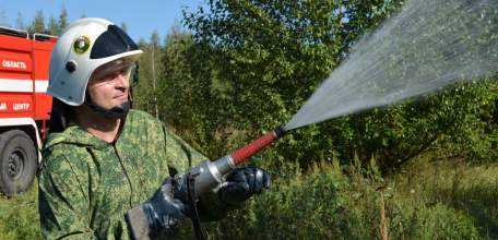 Липецкая область в десятке лучших регионов по недопущению пожаров в лесном фонде
