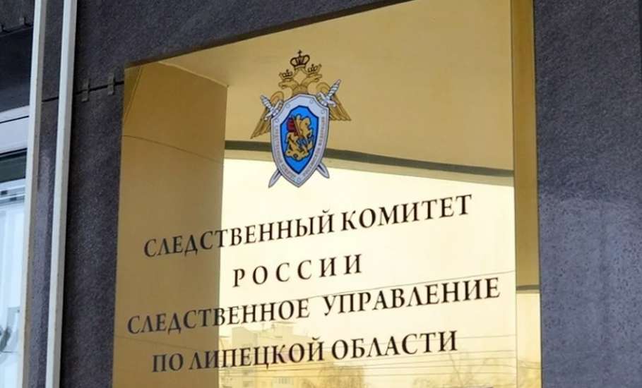 В Ельце завершено расследование уголовного дела о клевете и оскорблении в сети Интернет представителей власти
