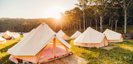 Липецкий турбизнес получил гранты на развитие