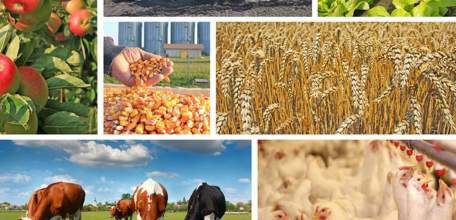 Запасы для обеспечения внутренней потребности Липецкой области полностью сформированы