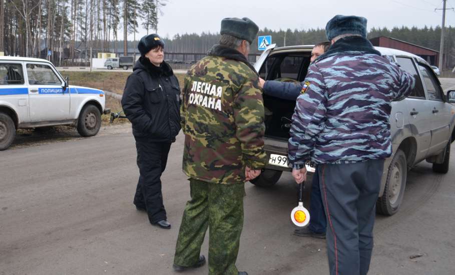 Охрана хвойных молодняков перед Новым годом в Липецкой области усилена