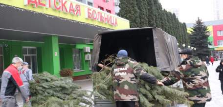 Лесники Липецкой области обеспечили медучреждения новогодними красавицами