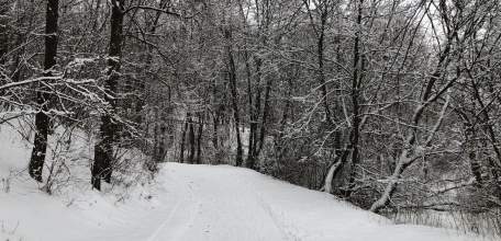 На лыжной базе изумительно!
