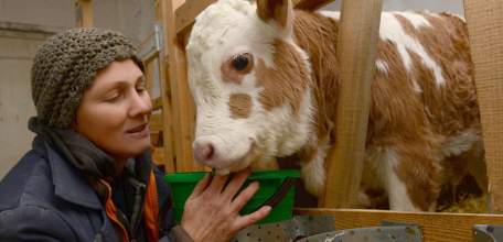 Липецкая область направила на поддержку фермеров и развитие сельской кооперации около 100 млн рублей