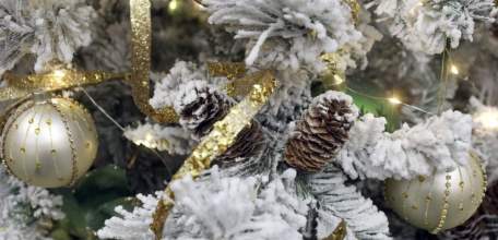 Игорь Артамонов и Павел Путилин поздравили жителей Липецкой области с новогодними праздниками