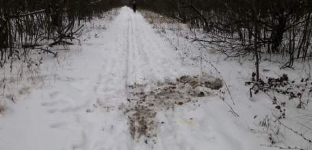 В Елецком районе давно беспрепятственно орудует наркомафия!