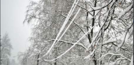 Внимание! Предупреждение МЧС: налипание мокрого снега