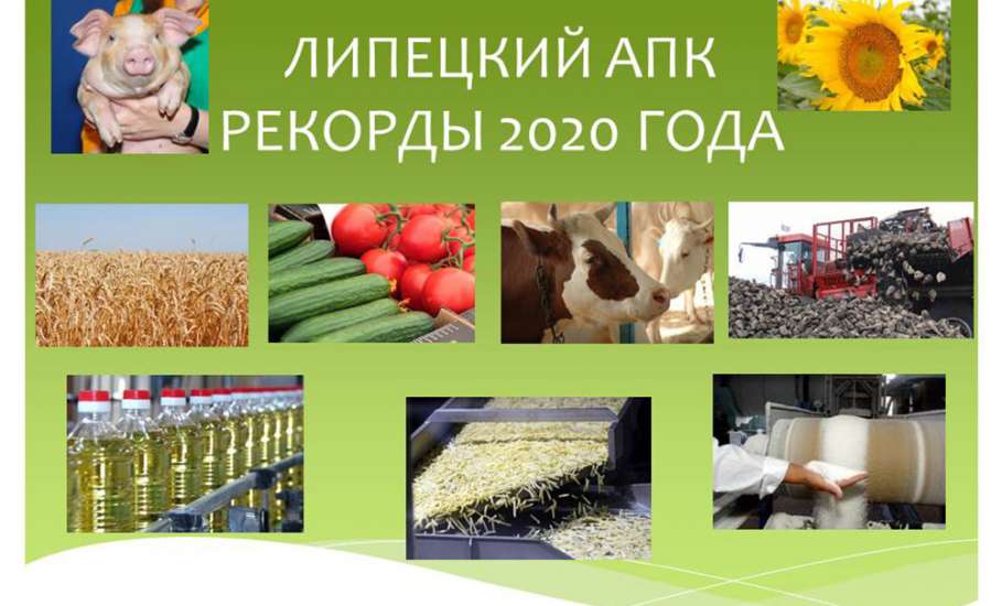 Липецкие аграрии обновили рекорды в 2020 году