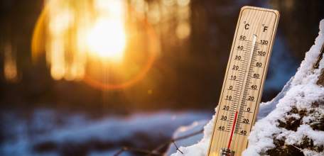 Внимание! В школах Ельца отменяются занятия с 1 по 4 класс включительно