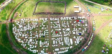 Липецкие турпроекты «Историко-культурный парк «Русборг» и «Тайны усадьбы» получили президентскую поддержку