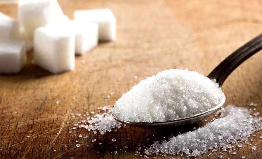 Сезон переработки сахарной свеклы завершен в Липецкой области