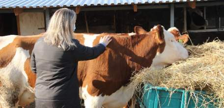 Социальный контракт-2021: что изменилось