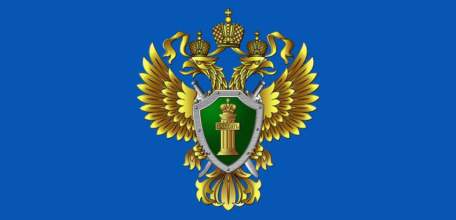 Прокуратура провела проверку по факту отравления угарным газом жительницы г. Ельца и её несовершеннолетней дочери