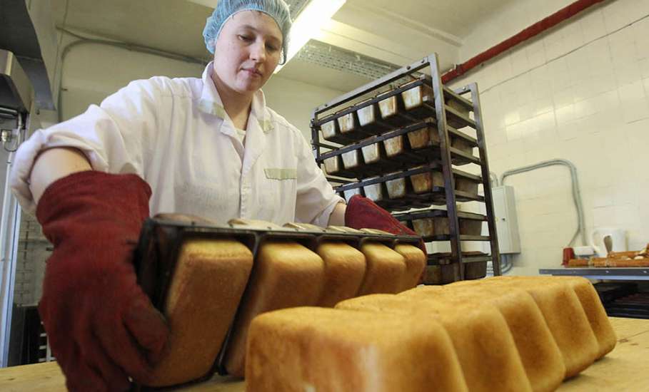 Мукомольные и хлебопекарные предприятия Липецкой области получат господдержку