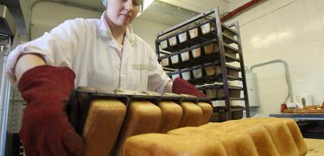 Мукомольные и хлебопекарные предприятия Липецкой области получат господдержку