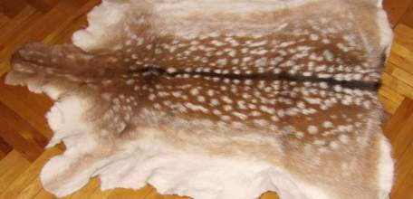 После вмешательства прокуратуры возбуждено уголовное дело по факту незаконной охоты