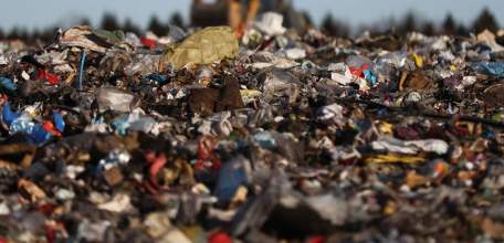 Прокуратура Ельца: О рекультивации земельного участка под бывшей городской свалкой